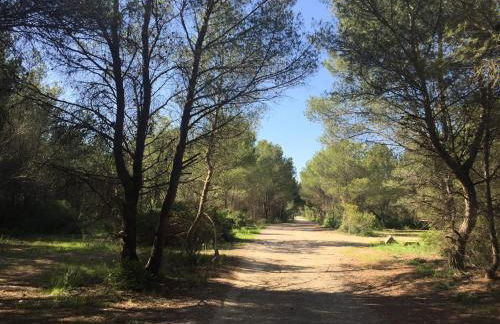 Lodge Montagnac - Foto 26