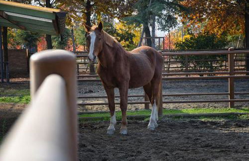 Agriturismo Corte Benetti - Foto 109