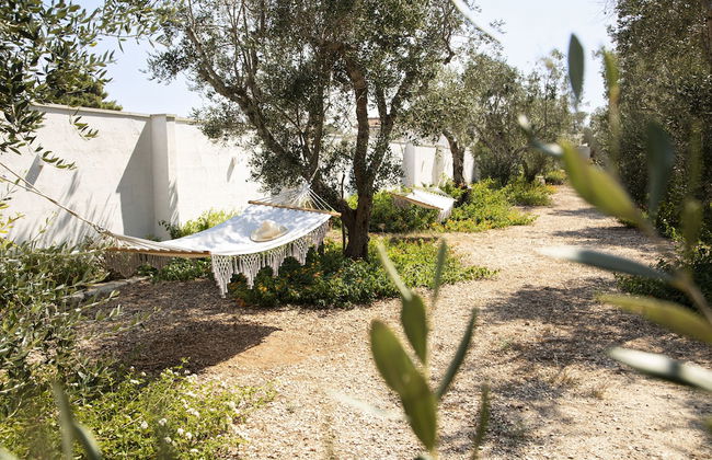 Panacea Residence - Foto 23