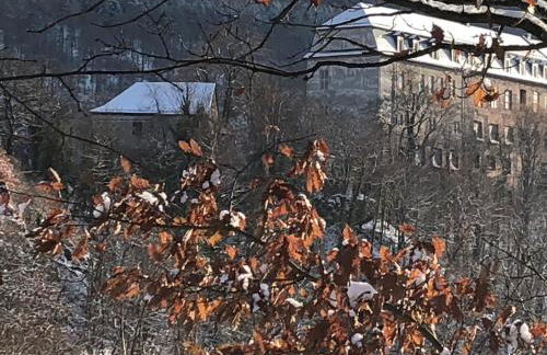 Ferienwohnung Schwarzatal - Foto 55