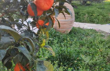 Casa Rossa - Foto 47