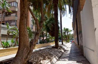 Letplanet Riquelme - Foto 44