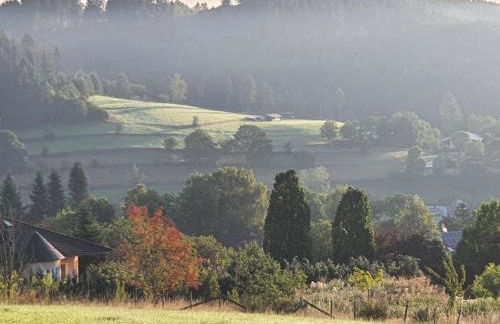 Holzhaus Chalet Nationalpark Eifel Hund willkommen - Foto 8