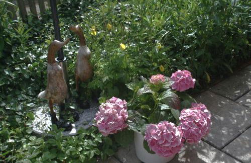 Apartment Vier Jahreszeiten Pilsum - Foto 25