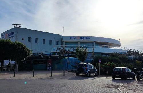 Niki's House - Photo 45