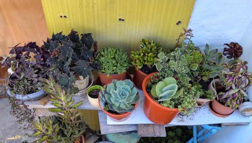 Casa de Lá - Photo 4, Garden