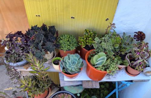 Casa de Lá - Photo 4