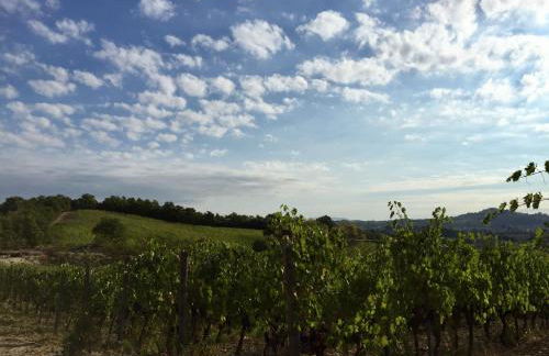 Agriturismo San Gregorio - Foto 65