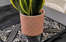 Domu e Cannonau - Foto 10