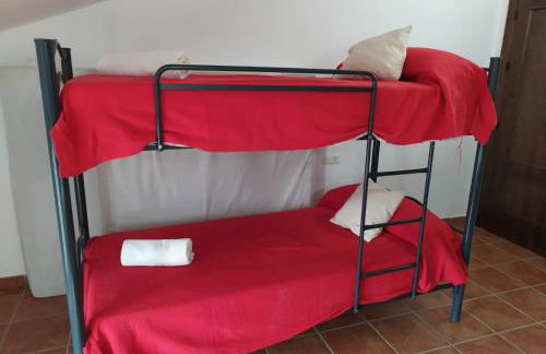 cortijo la laguna - Foto 13