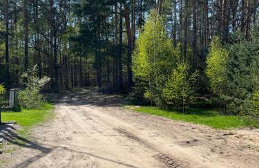 Smolniki Leśna Oaza - Foto 16