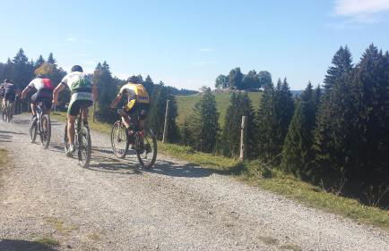 weitnaustyle - renoviert, modern, allergikerfreundlich - Photo 35