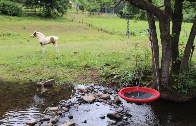 Apartment in Deudesfeld With Private Terrace - Foto 13