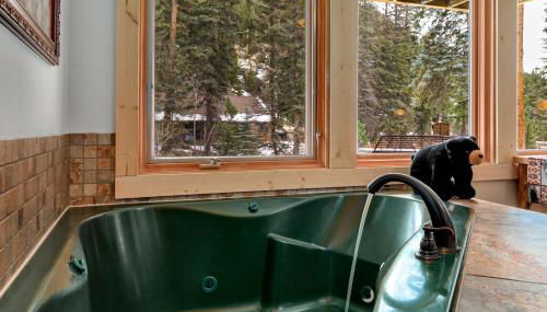 Creekside Suites 12 by Estes Park Condos - Foto 5