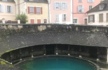 Appartement au coeur du vignoble tonnerrois - Foto 21