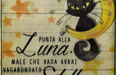 Il Gatto e la Luna - Foto 22