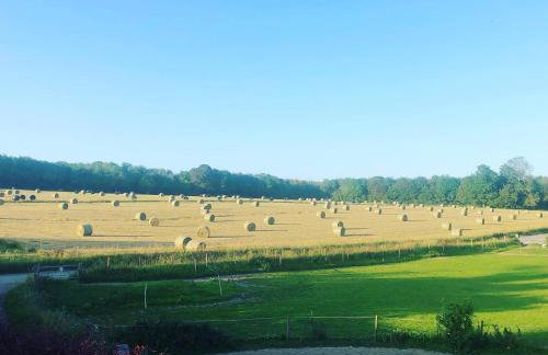 The Dog and Trout - Foto 19