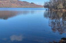 Pinetree Cottage, dog friendly, Holiday let, Callander Invertrossachs - Photo 3