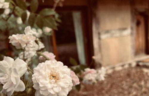Gästehaus auf idyllischem Fachwerkhof im Dümmer-Weserland, Sauna optional - Foto 1