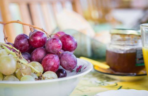 Oliveira Country House - Foto 11