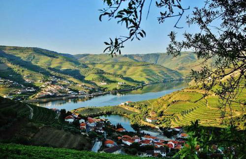 Casa grande Covelinhas - Foto 12