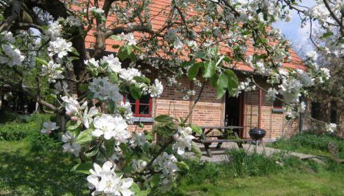 Ferienhaus Apfelhof - Foto 5