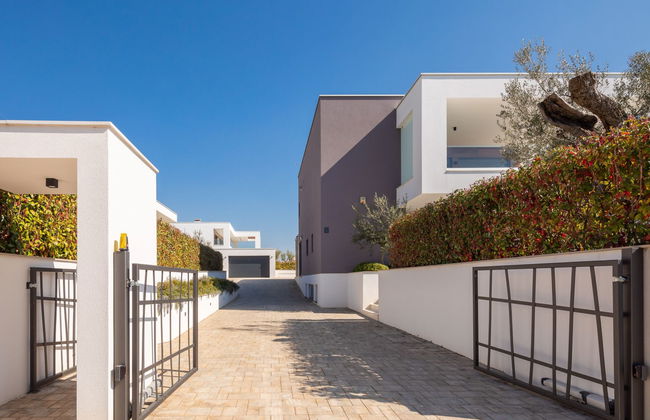 Old Olive I - Foto 50