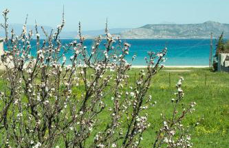 Phoenix Beachside Condos - Foto 26