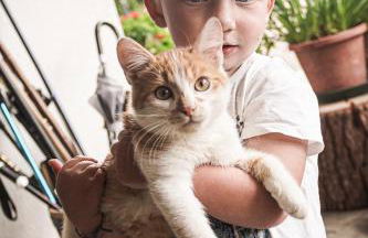 Gasleidhof - Photo 12