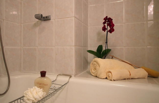 Petalo Bianco 100m From Lake - Foto 11