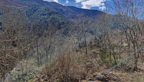 Maison en pierre Ardèche du sud - Foto 4