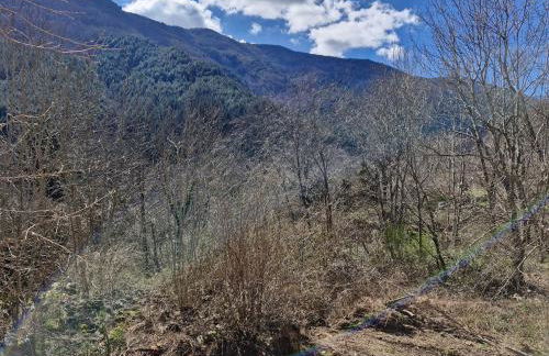 Maison en pierre Ardèche du sud - Foto 4