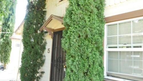 Mt Konocti View - Foto 5