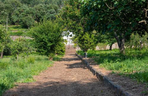 Casa da Torre luxury villa in Braga - Foto 40