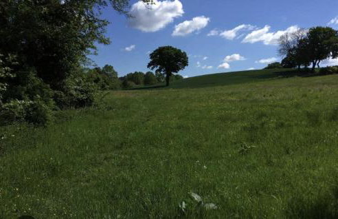 Selston House, 3 bedroom cosy cottage Home for up to 6 Guests, Cul-de-sac on Private road - Foto 16