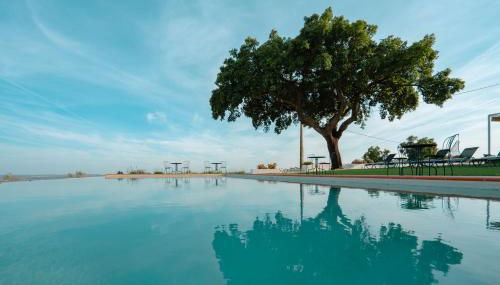 Herdade Vale de Cabras - Foto 4