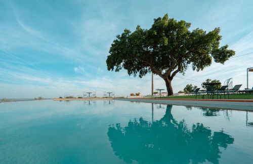 Herdade Vale de Cabras - Foto 4