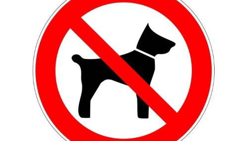 Face Lagune superbe appartement de plain pied avec parking - 6BAIE12 - Foto 4