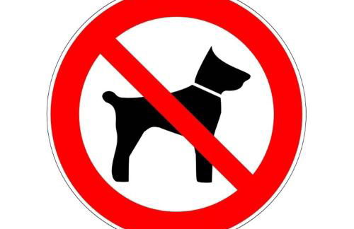 Entre plage et marina T2 climatisé avec piscine collective-5HR213 - Photo 21