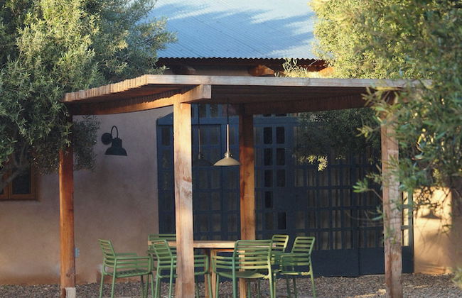 Alma Liebre Viñedos del Valle - Foto 17