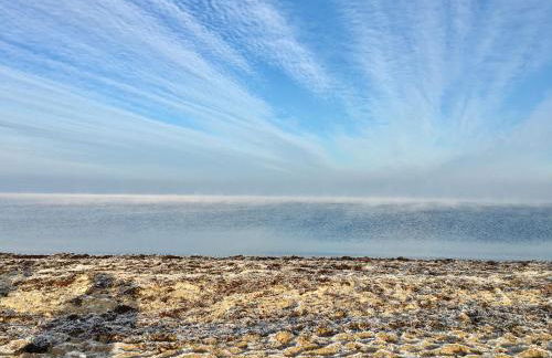 Ostsee Reetkate - Foto 72