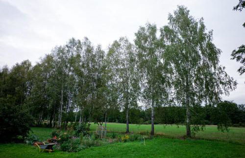 Obere Mühle - Scheunenwohnung mitten im Grünen - Foto 15