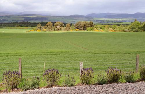 Moonshine Cottage - Photo 16