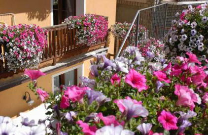 Residence Au Vieux Grenier - Photo 6