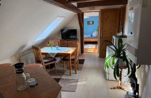 Schöne Ferienwohnung im Erholungsort Sternberg - Foto 18