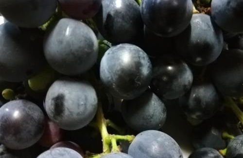 Historic Farmhouse Casa Del Chiodo - Foto 39