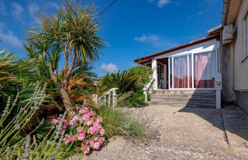 Apartments Ruža Dragove Dugi otok - Foto 53