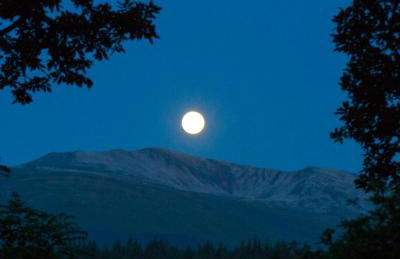 Room with a view - Photo 55