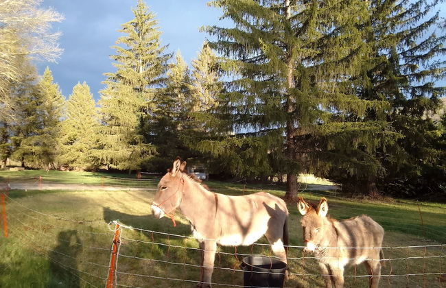 Les Favouilles, le gîte pour 15 personnes - Foto 104