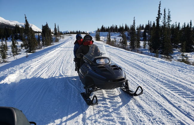 Denali Wild Stay - Foto 62